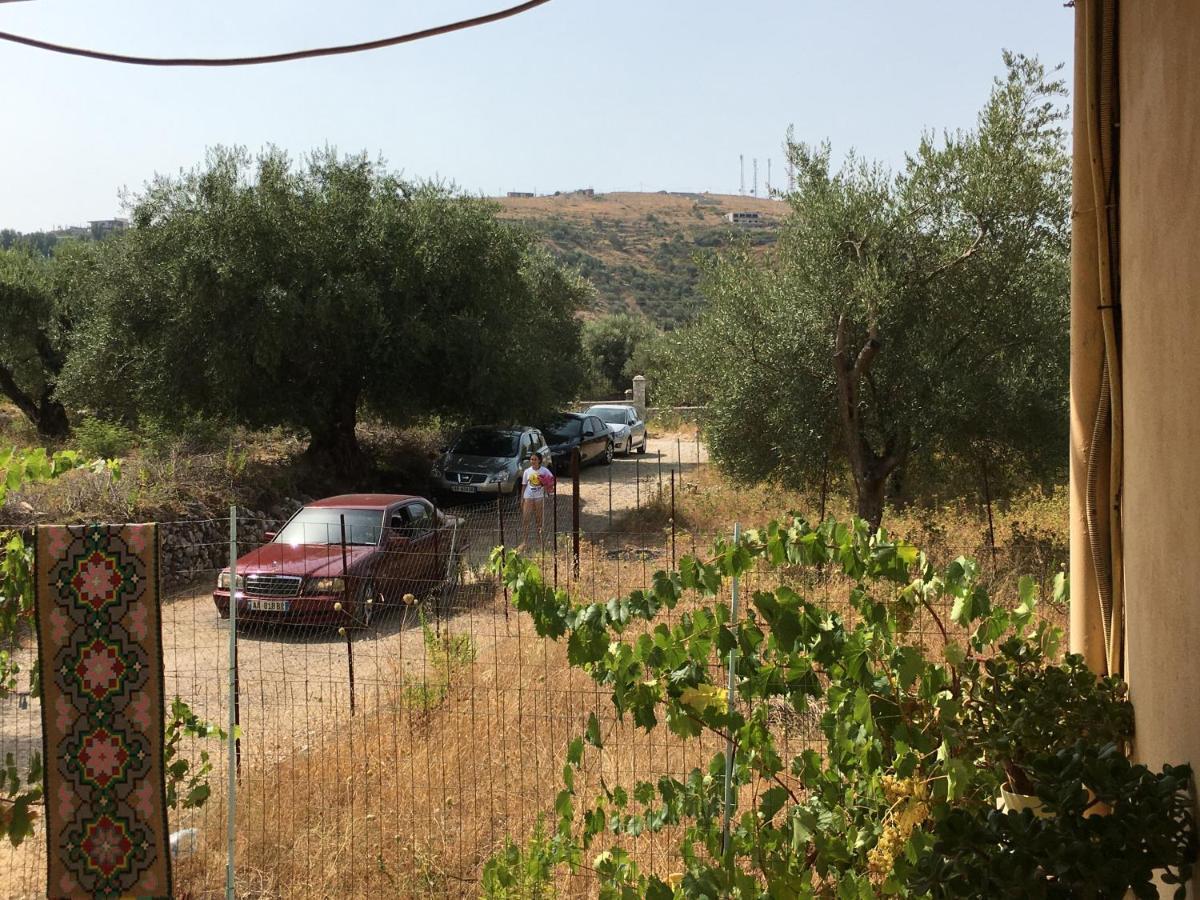 Villa Olivia Grove Χειμάρρα Εξωτερικό φωτογραφία